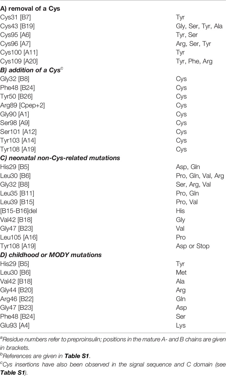 Frontiers | Structural Lessons From the Mutant Proinsulin Syndrome