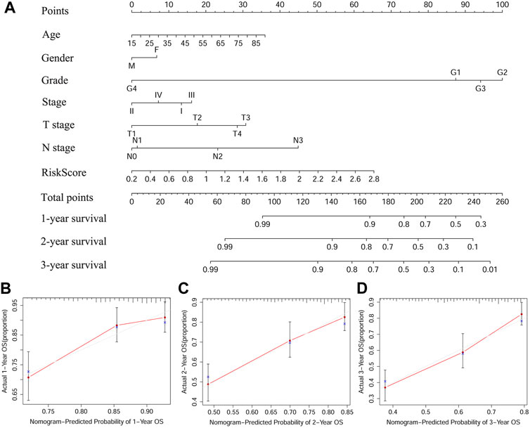 Frontiers | A Ferroptosis-Related Gene Signature for Predicting the ...