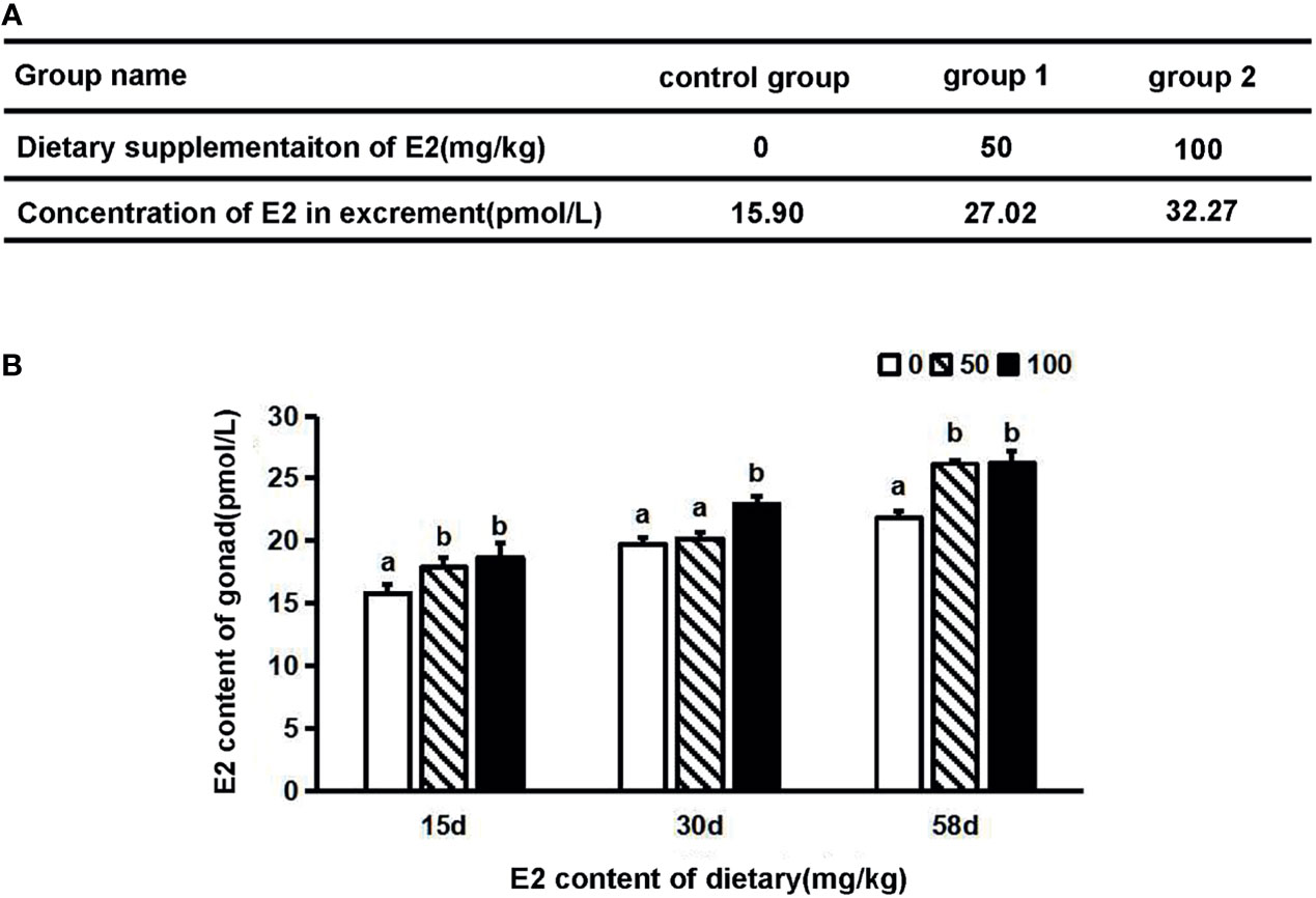 Frontiers Application Of Snp In Genetic Sex Identification And Effect Of Estradiol On Gene 