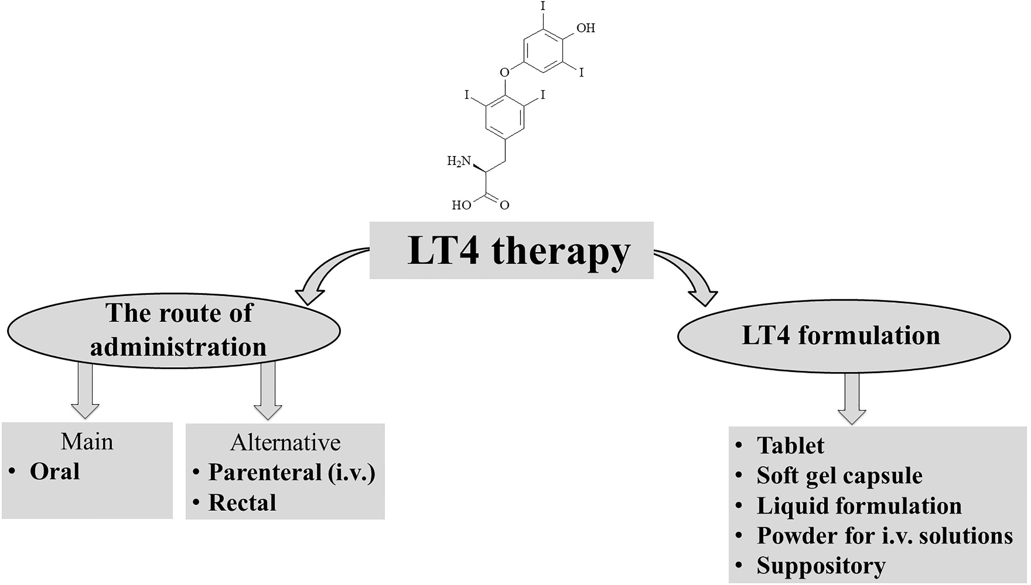 Frontiers Levothyroxine Treatment And The Risk Of Cardiac Arrhythmias 