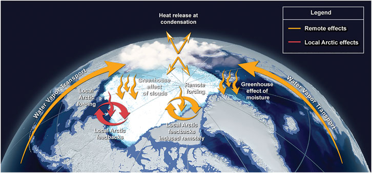 Climate explained: why is the Arctic warming faster than other parts of the  world? - International Science Council