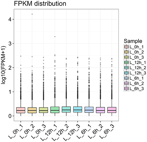 Frontiers | Differential Expression Profiles of lncRNA Following 
