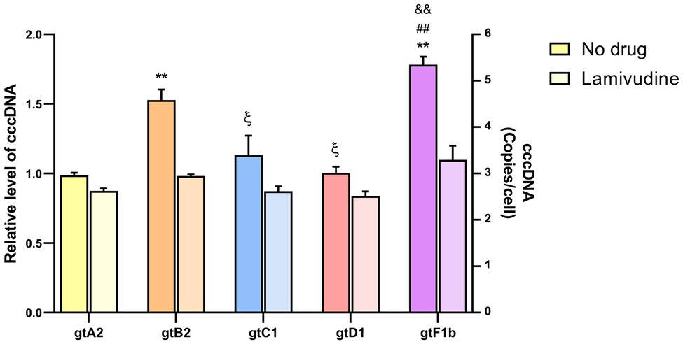 Frontiers Biological Characterization Of Hepatitis B Virus Genotypes Their Role In Viral