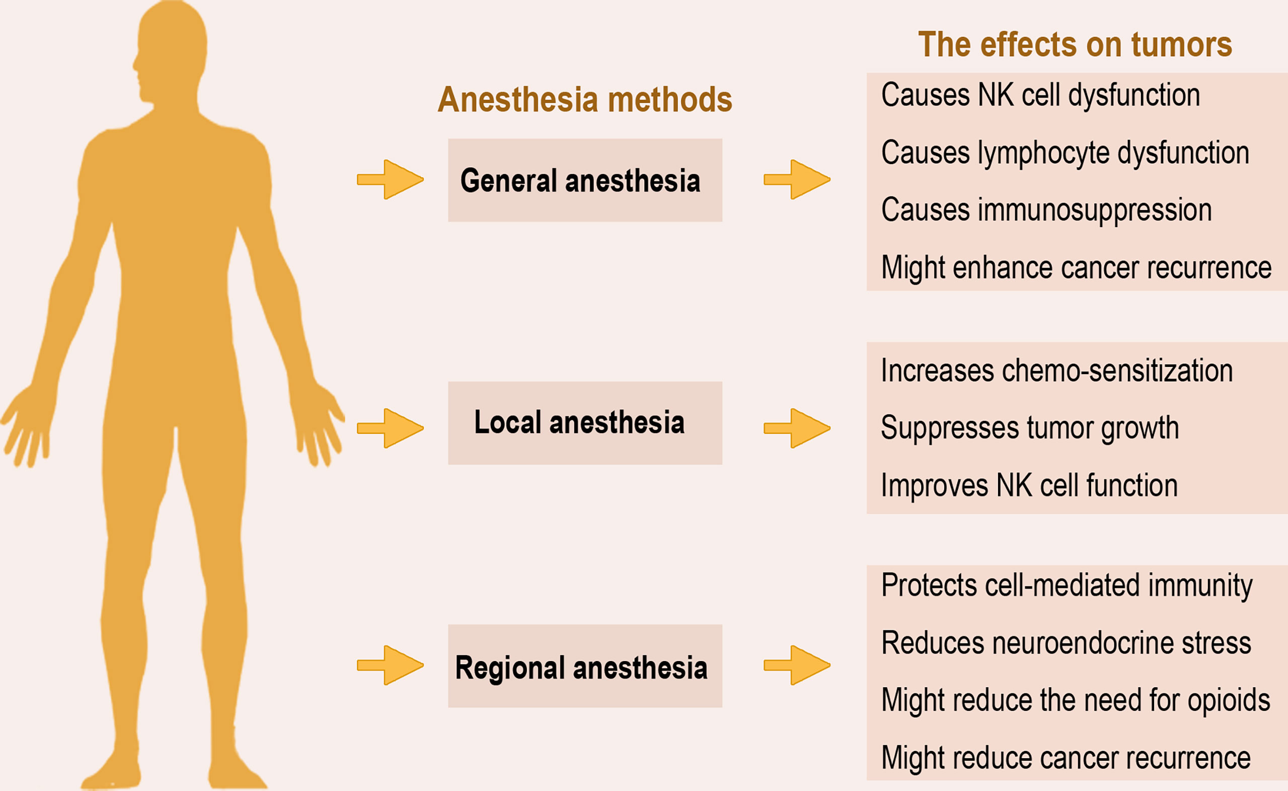 Frontiers Application Of Anesthetics In Cancer Patients Reviewing 