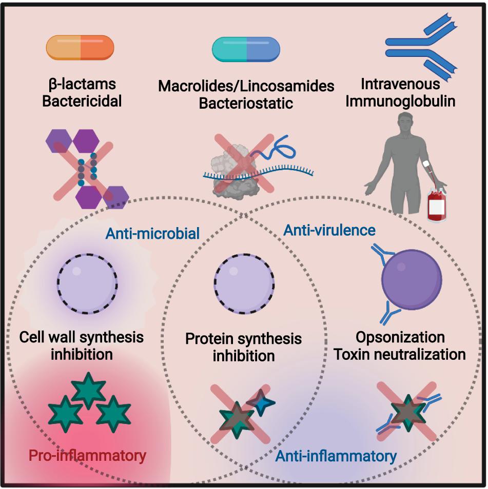 Frontiers  Antibiotic Treatment, Mechanisms for Failure, and