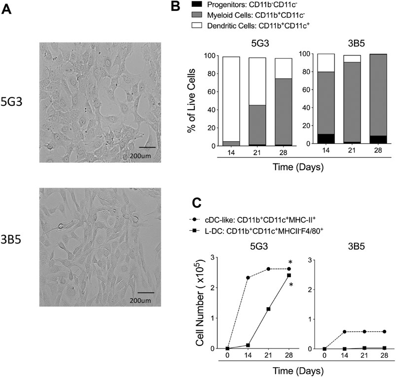 Frontiers | Role of SVEP1 in Stroma-Dependent Hematopoiesis In vitro