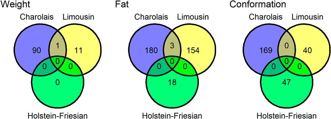 File:Chromino combinations.svg - Wikipedia