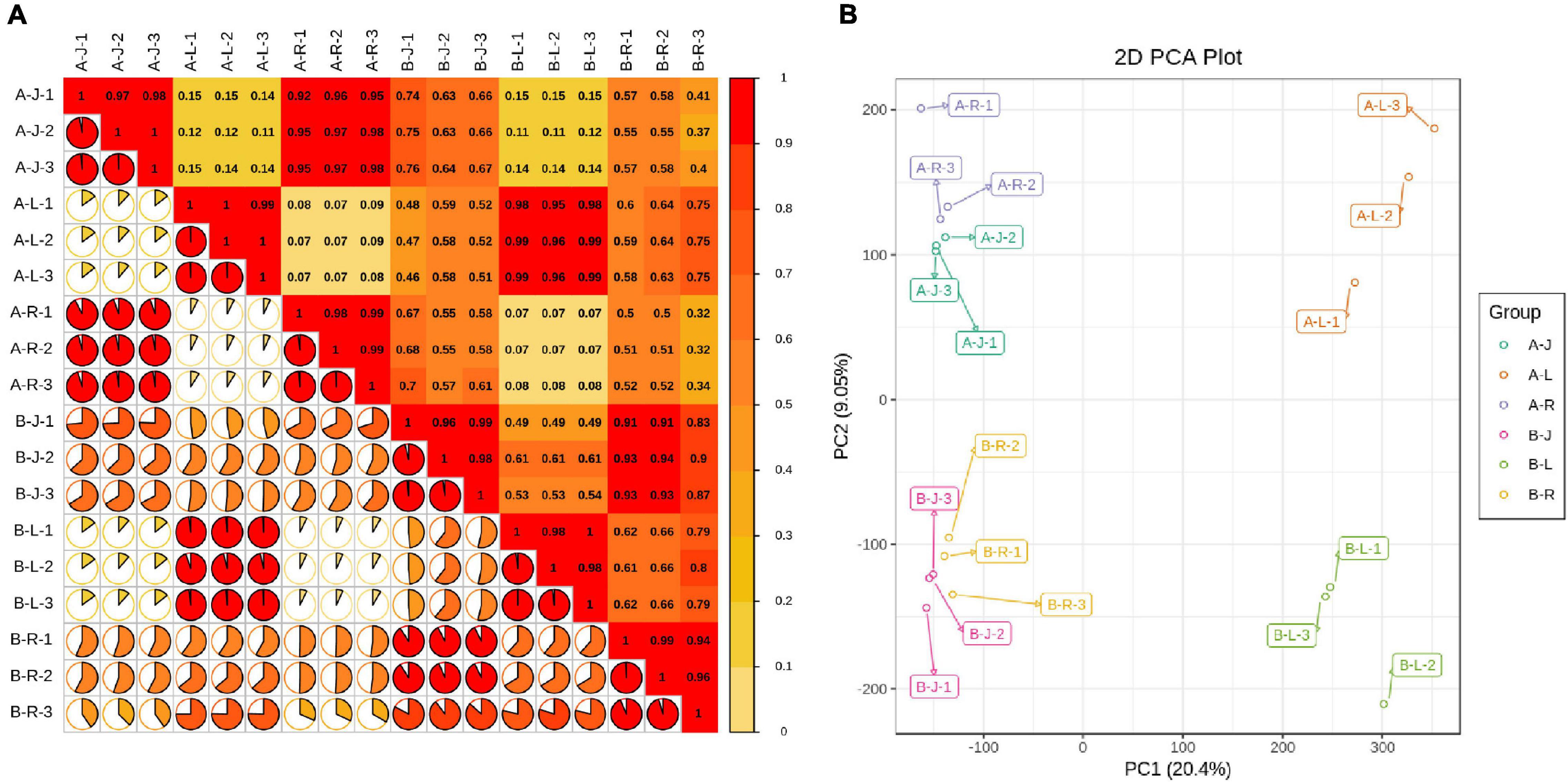 Frontiers | Transcriptomics and Metabolomics Changes Triggered by 