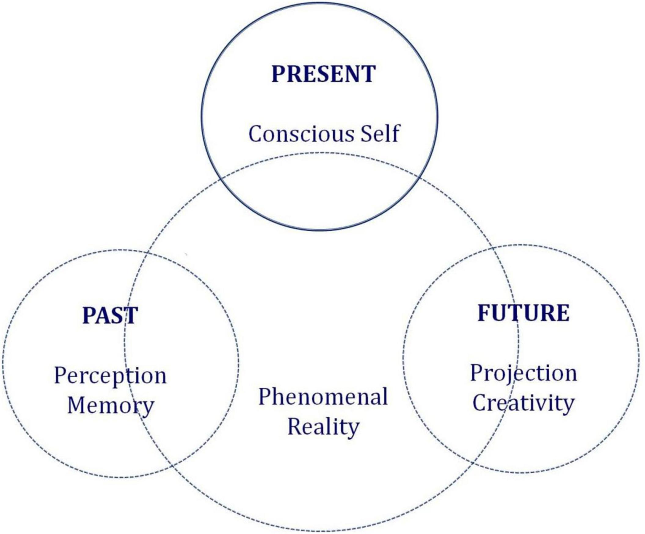 Frontiers Consciousness Beyond Neural Fields Expanding The 