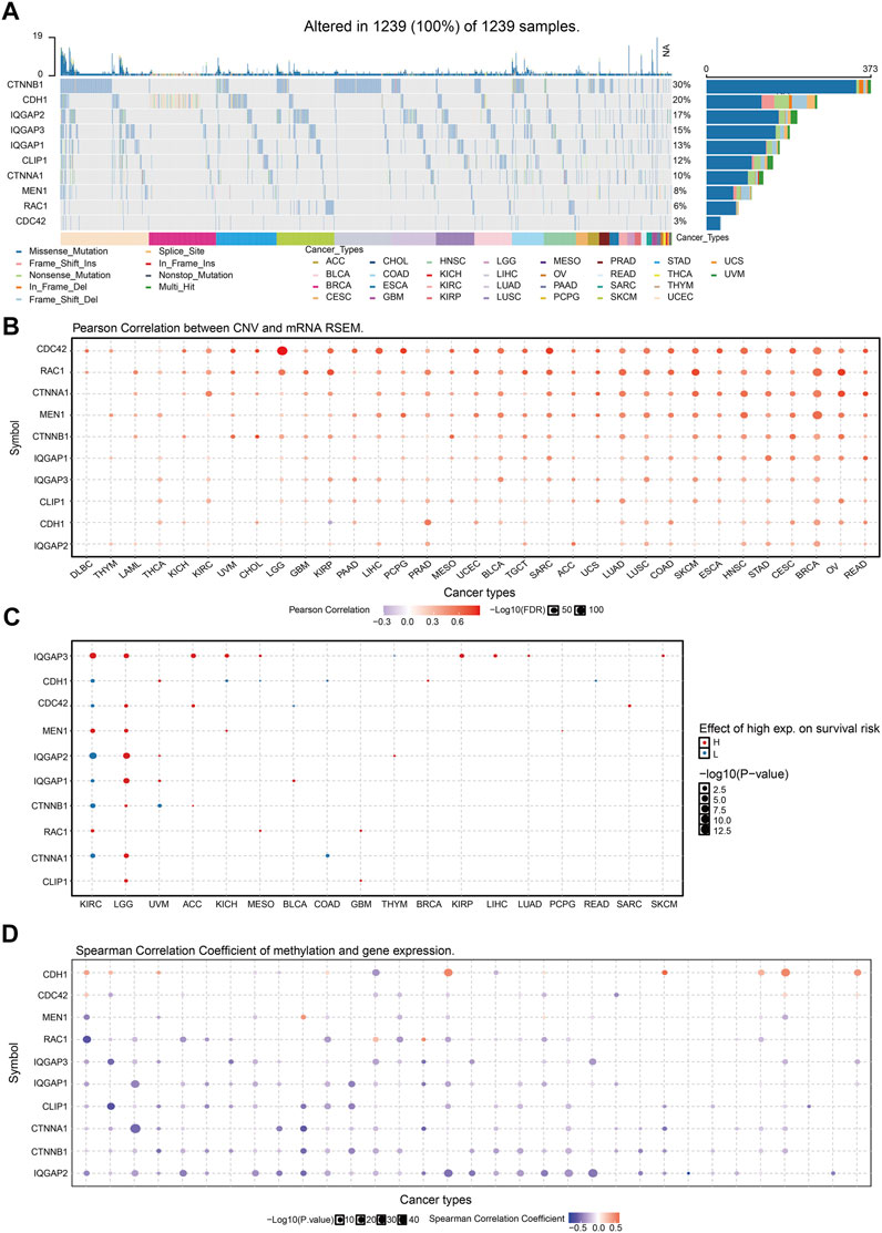 Frontiers | Comprehensive Analyses of the Immunological and Prognostic ...