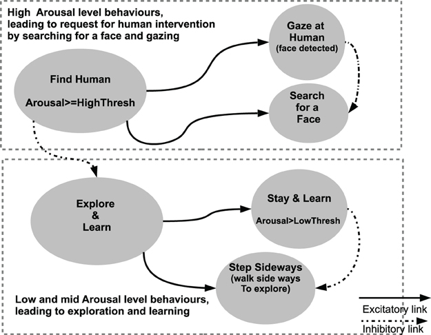 Frontiers Arousal Regulation And Affective Adaptation To Human Responsiveness By A Robot That Explores And Learns A Novel Environment Frontiers In Neurorobotics