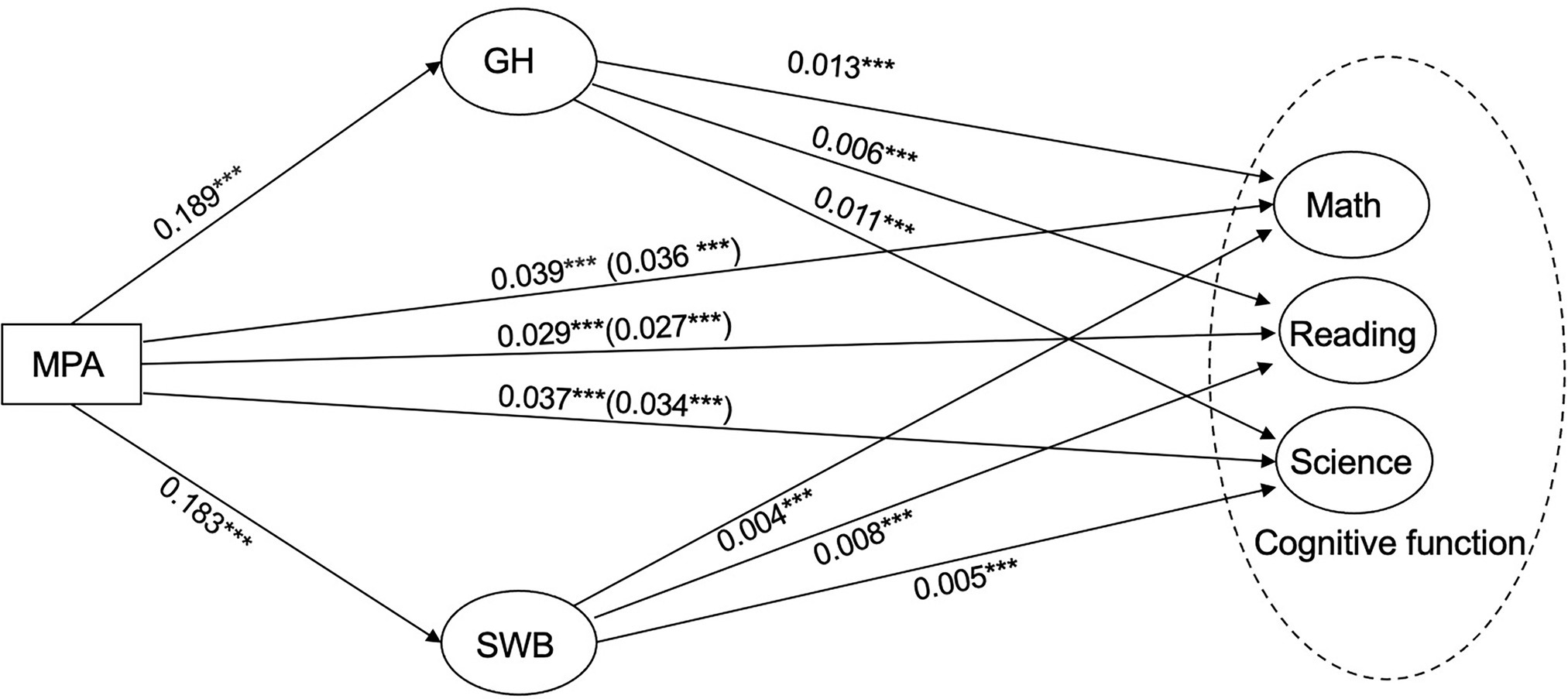 Frontiers | Examining The Link Between Physical Activity And Cognitive ...