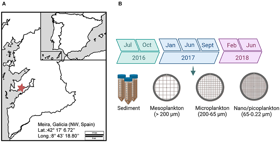 Frontiers  High-Throughput Sequencing of Environmental DNA as a Tool for  Monitoring Eukaryotic Communities and Potential Pathogens in a Coastal  Upwelling Ecosystem