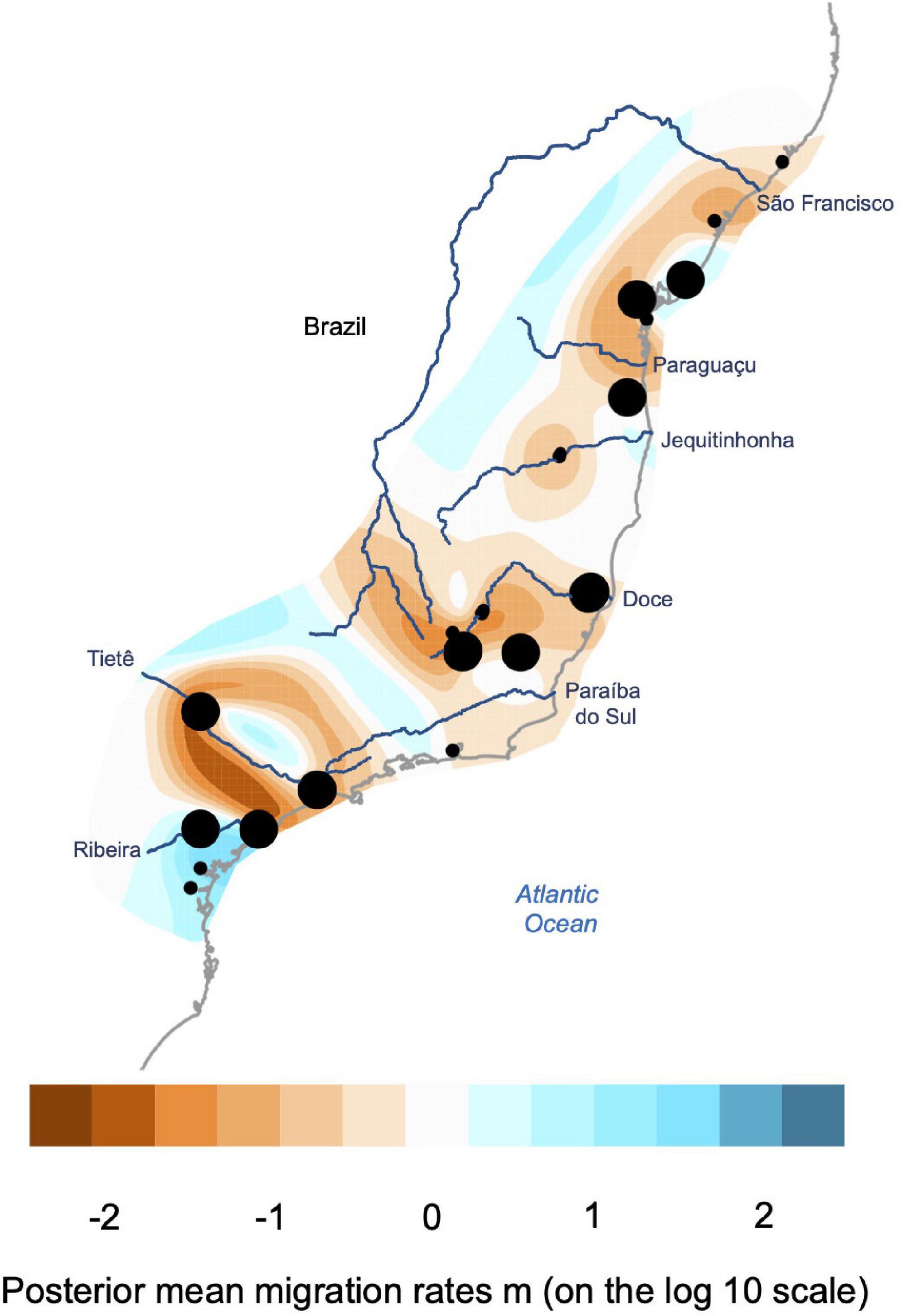 Frontiers | Deep Genomic Divergence and Phenotypic Admixture of the  Treefrog Dendropsophus elegans (Hylidae: Amphibia) Coincide With Riverine  Boundaries at the Brazilian Atlantic Forest