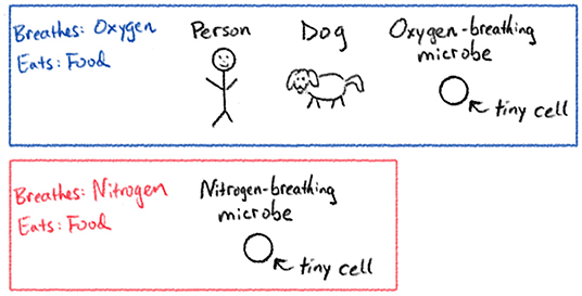 图1 -吸氧生物体(蓝框)和nitrogen-breathing生物(红色框)。