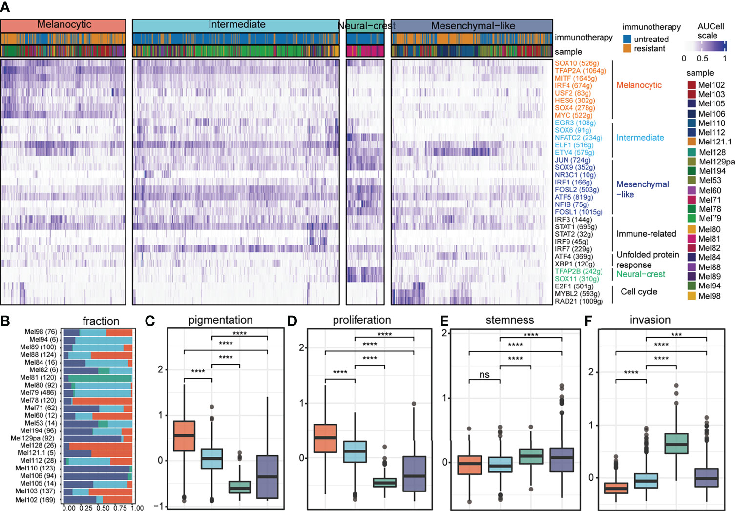 Frontiers | Single-Cell Transcriptomic Analysis Reveals The Crosstalk ...