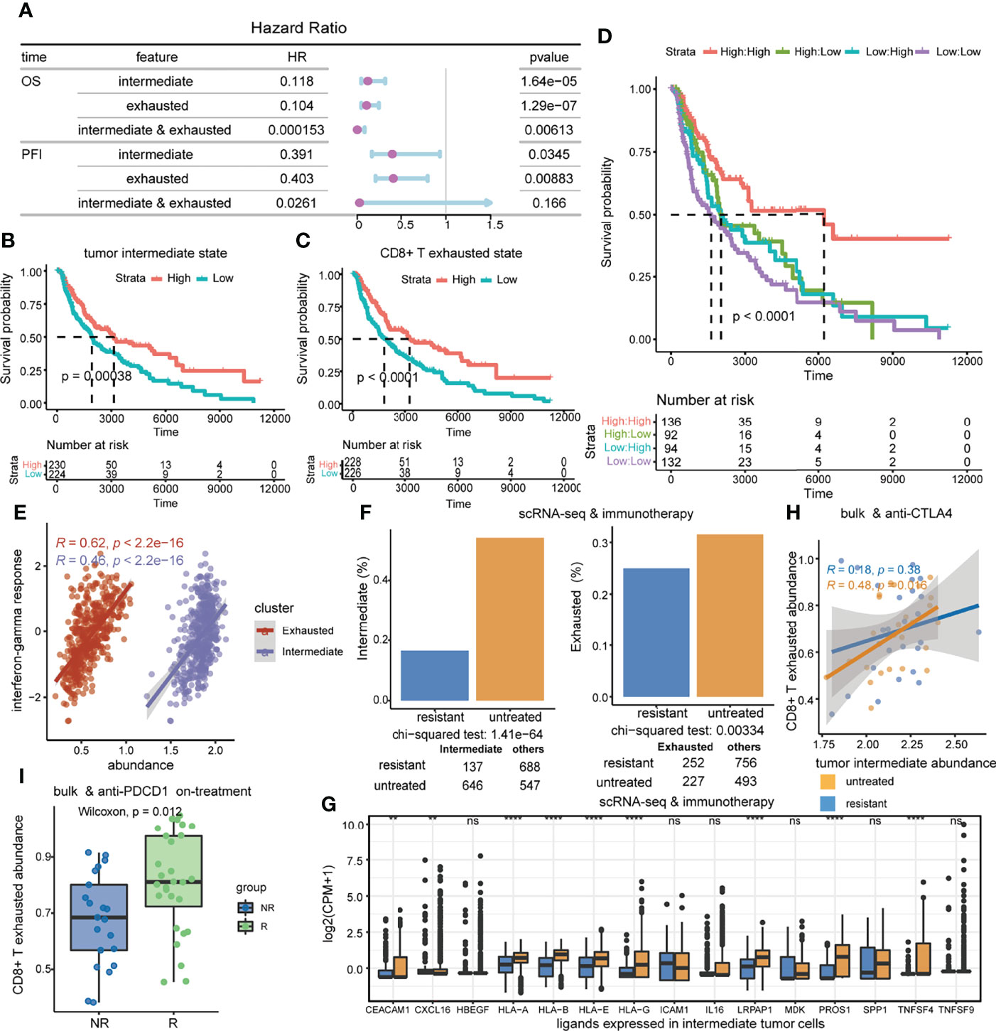 Frontiers | Single-Cell Transcriptomic Analysis Reveals the Crosstalk ...