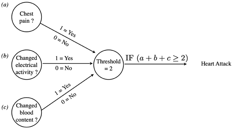 Figure 3 - Artificial neural network that can diagnose a heart attack.