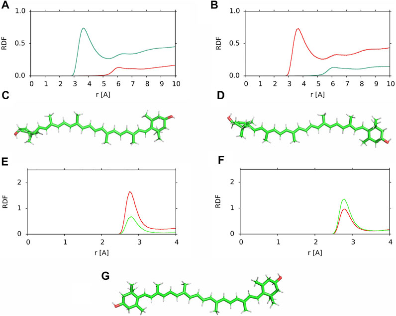 Frontiers | Lutein And Zeaxanthin In The Lipid Bilayer–Similarities And ...