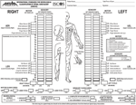 Frontiers | Who is going to walk? A review of the factors influencing ...