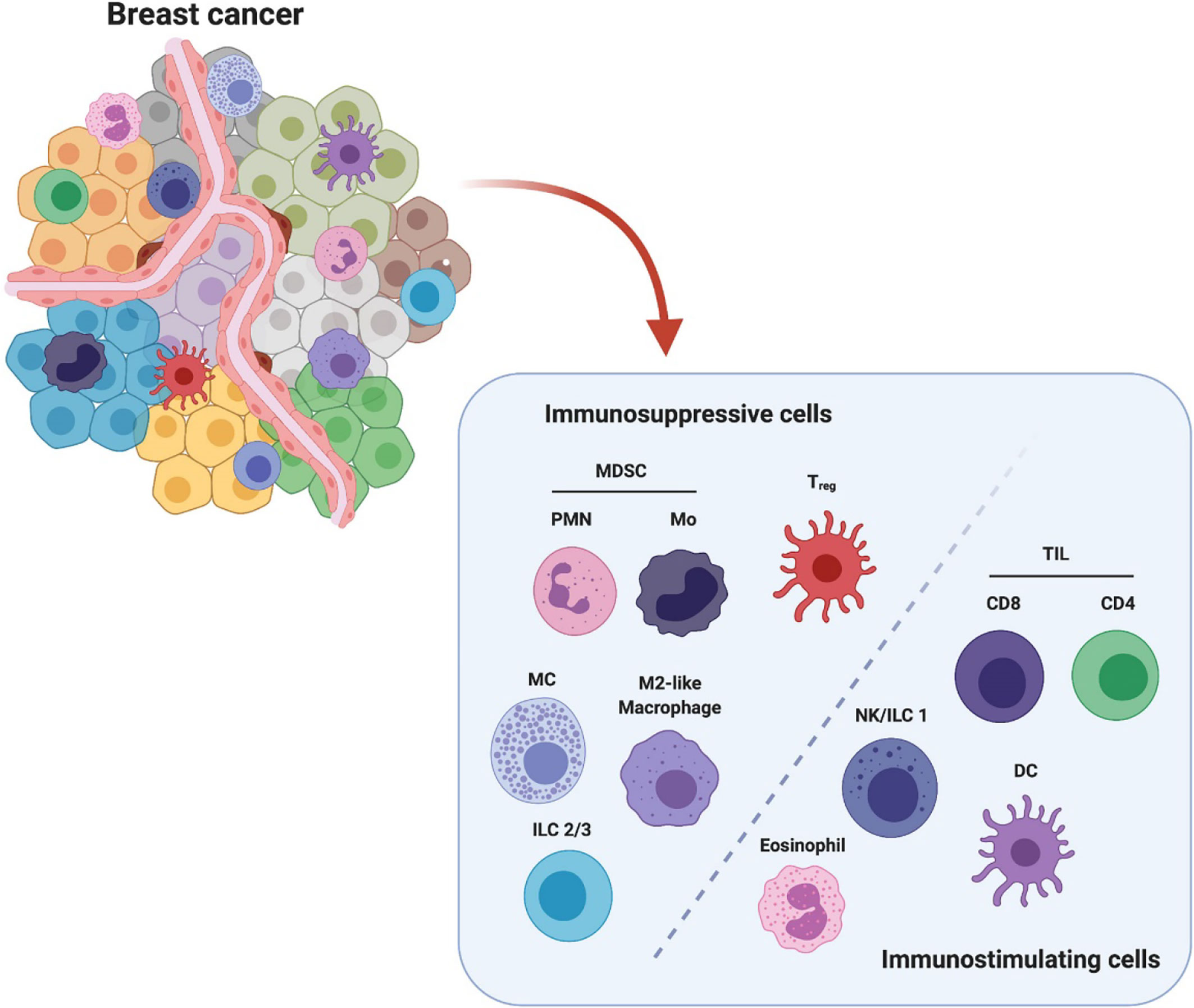 Frontiers Targeting Innate Immunity In Breast Cancer Therapy A