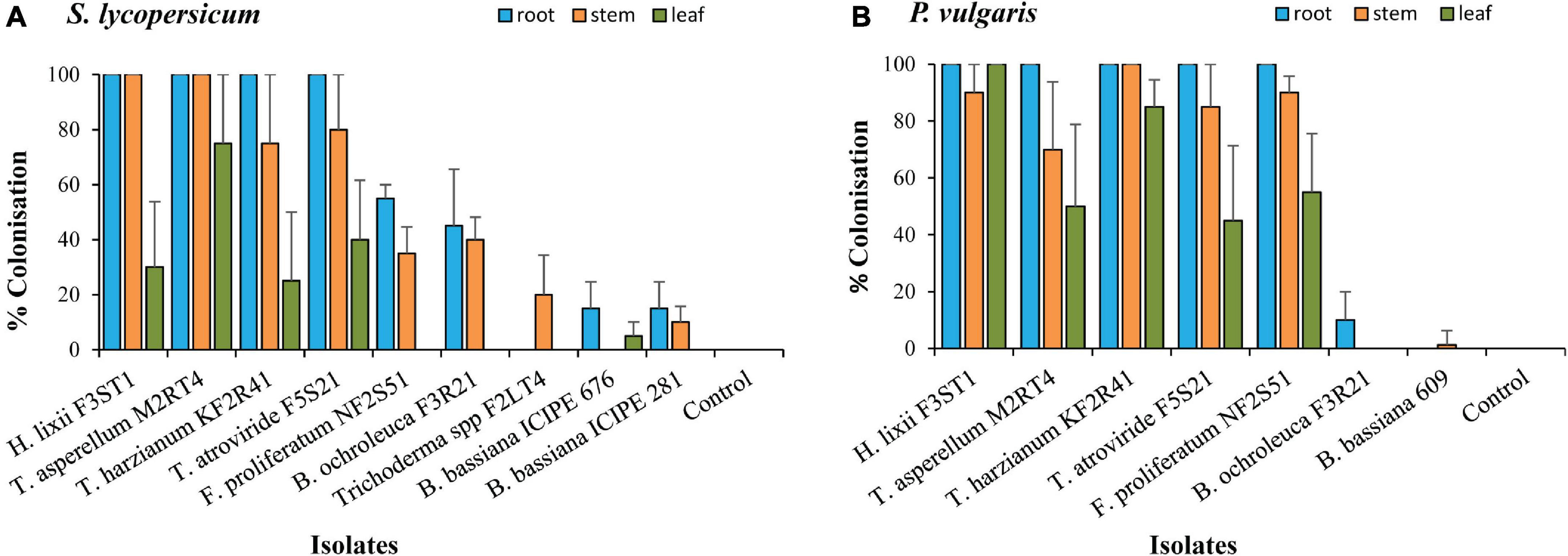 PDF] Plant trichomes and the biomechanics of defense in various systems,  with Solanaceae as a model