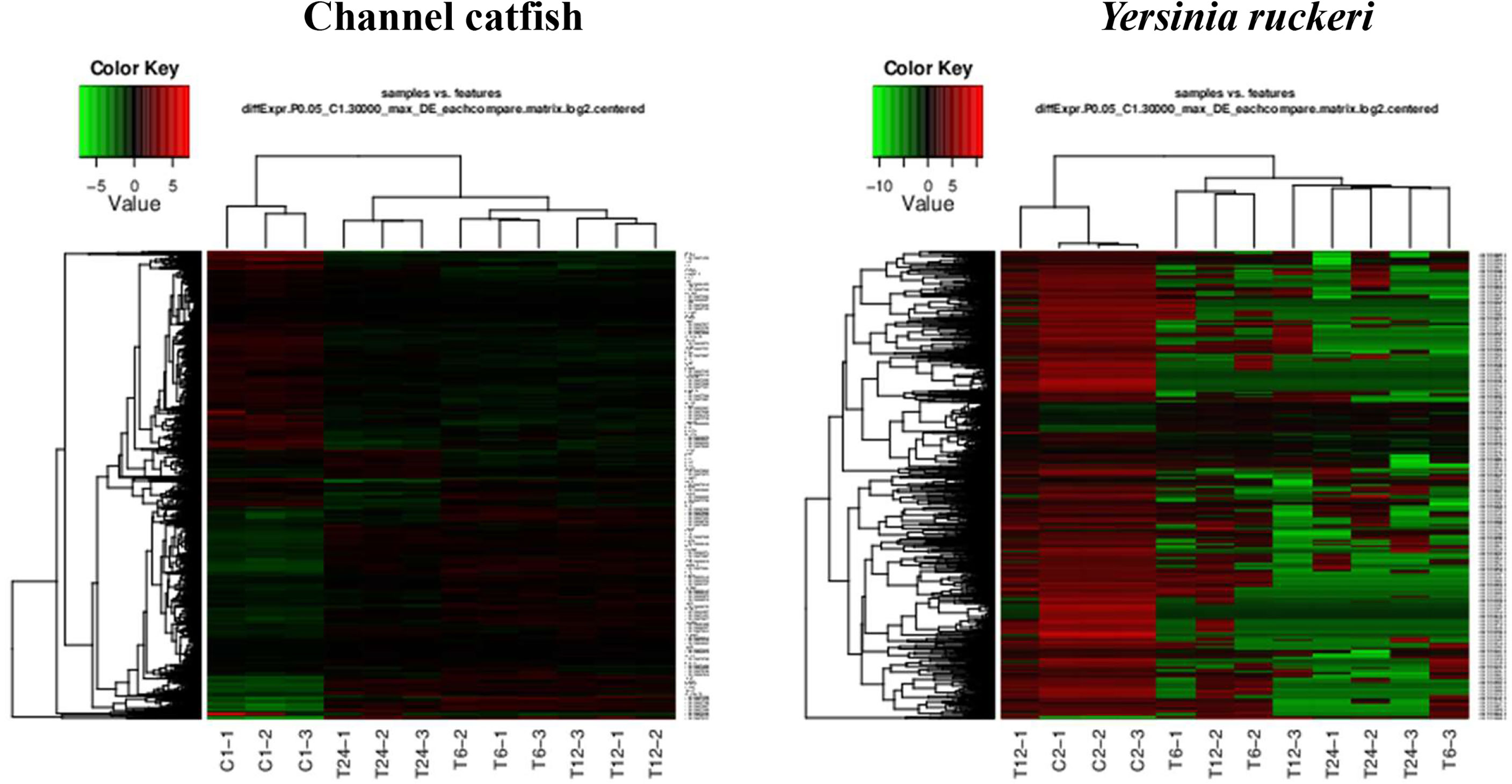 Frontiers | Dual RNA-Seq of Trunk Kidneys Extracted From Channel 
