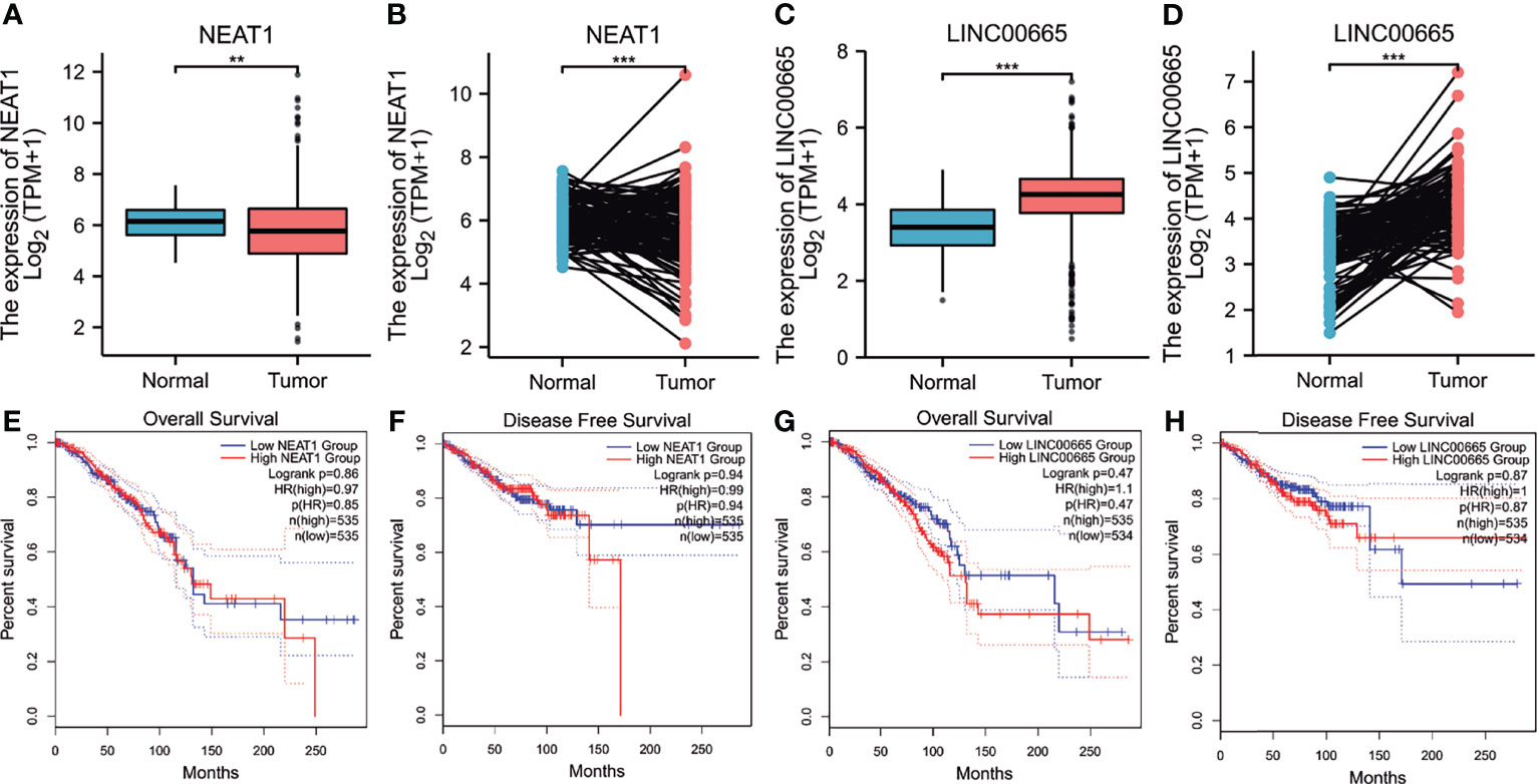 miR-410-3p suppresses breast cancer progression by targeting Snail