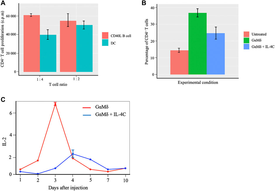 Frontiers | Mathematical Modeling of Proliferative Immune Response