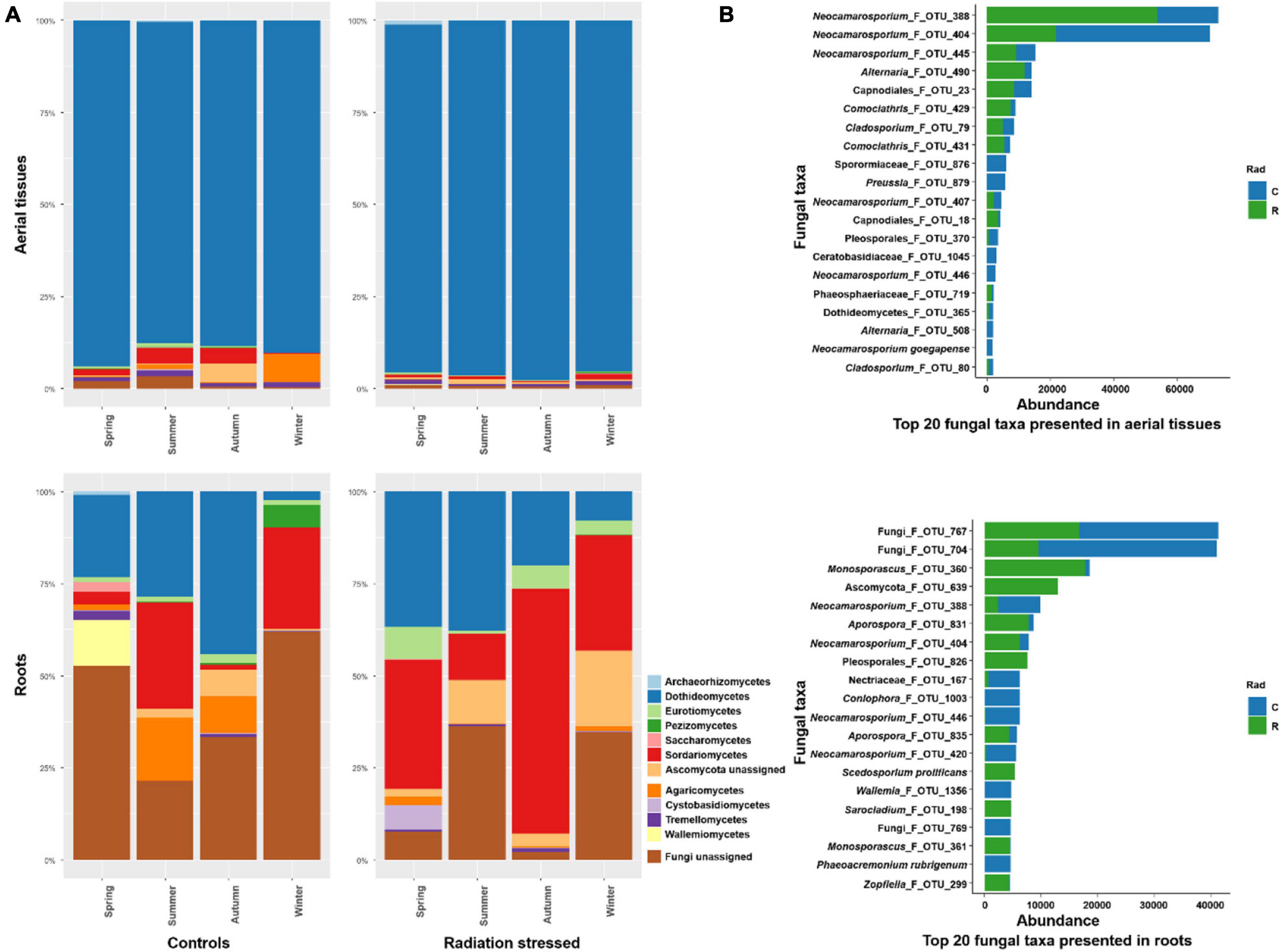 Frontiers | Seasonal Dynamics and Persistency of Endophyte Communities ...