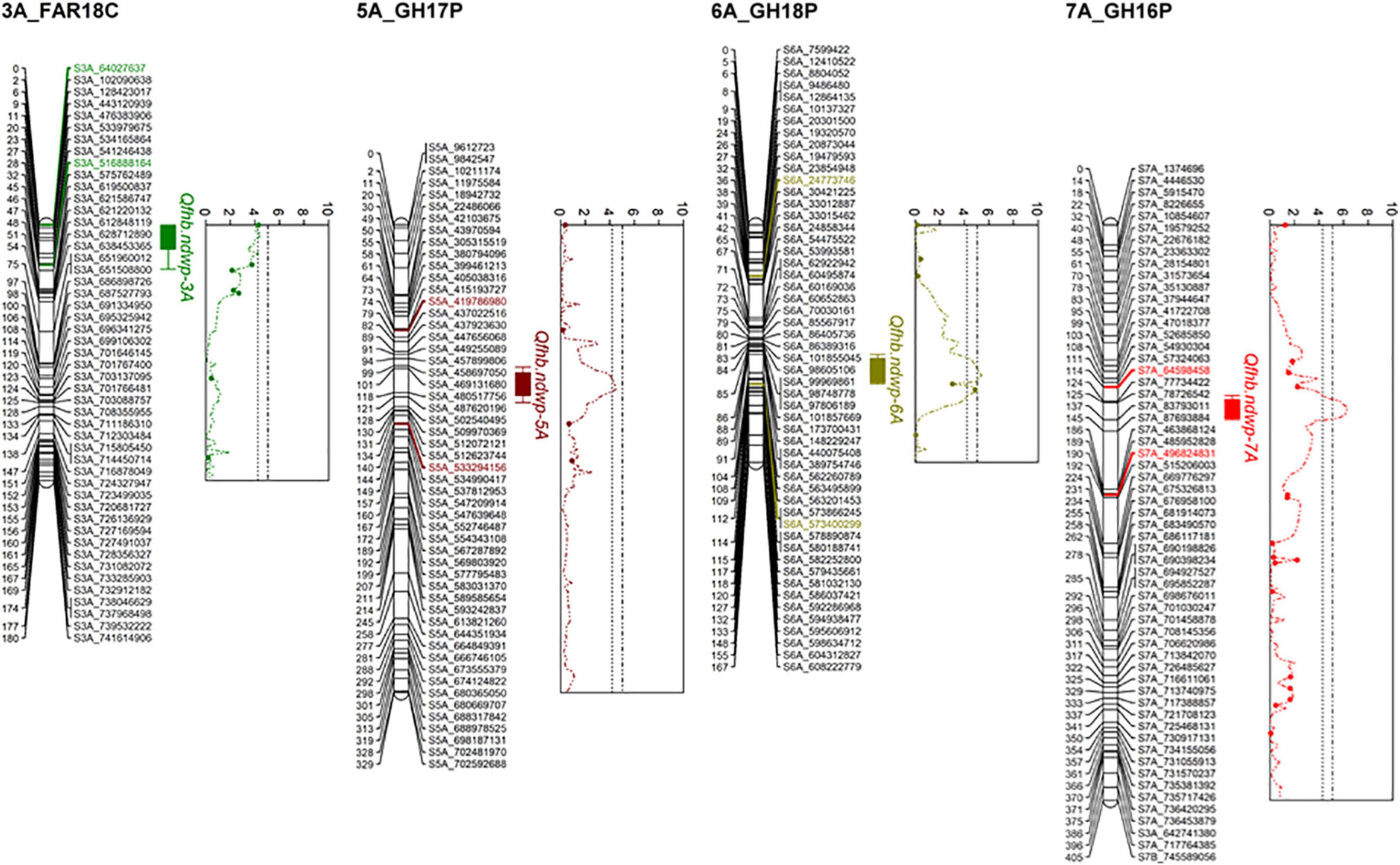 Frontiers | Molecular Mapping of Quantitative Trait Loci for 