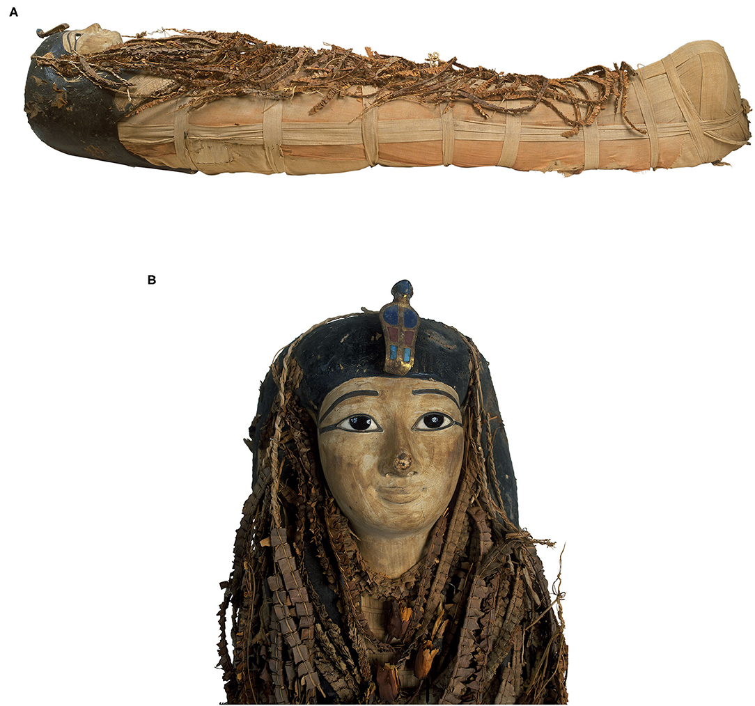 1084px x 1014px - Frontiers | Digital Unwrapping of the Mummy of King Amenhotep I (1525â€“1504  BC) Using CT