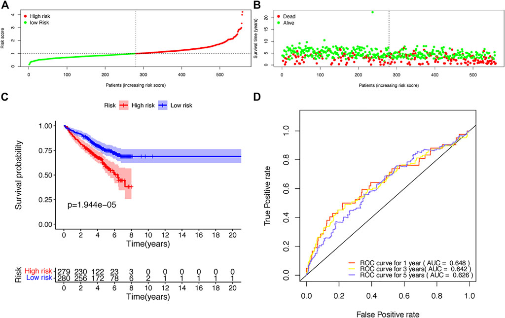 Frontiers | A Novel Model Of Tumor-Infiltrating B Lymphocyte Specific ...