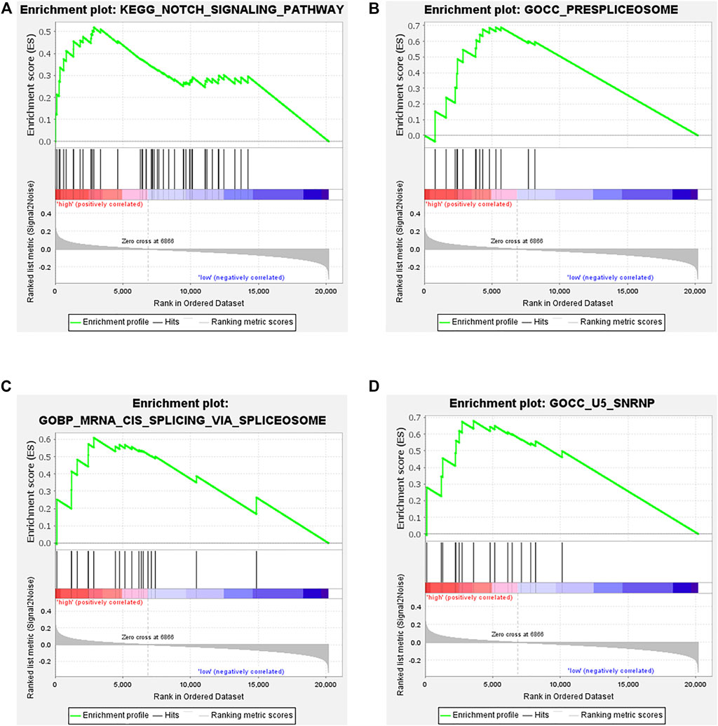 Frontiers | A Novel Model Of Tumor-Infiltrating B Lymphocyte Specific ...