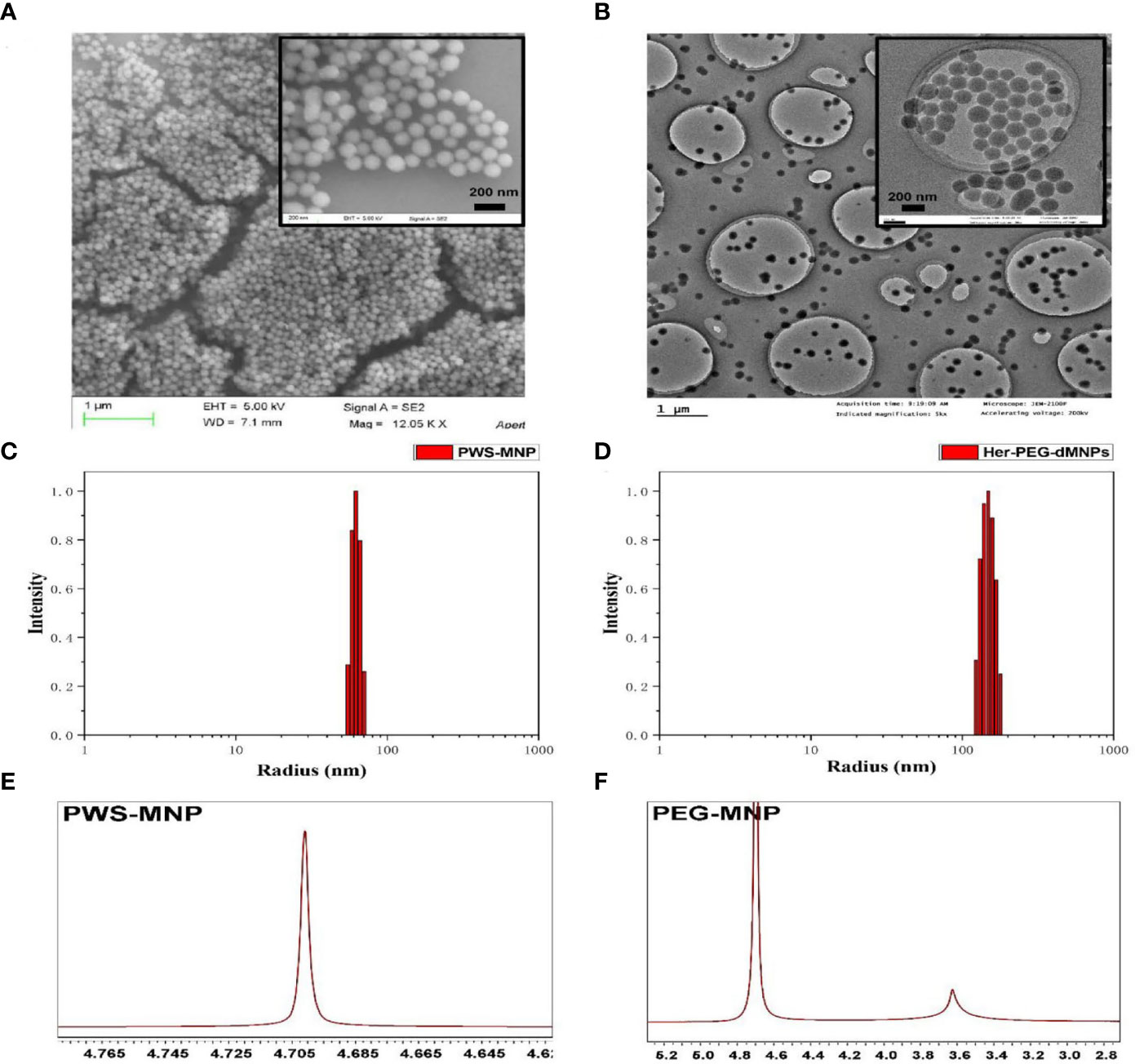 Frontiers Multimodal Imaging Technology Effectively Monitors Her2 Expression In Tumors Using Trastuzumab Coupled Organic Nanoparticles In Patient Derived Xenograft Mice Models Oncology