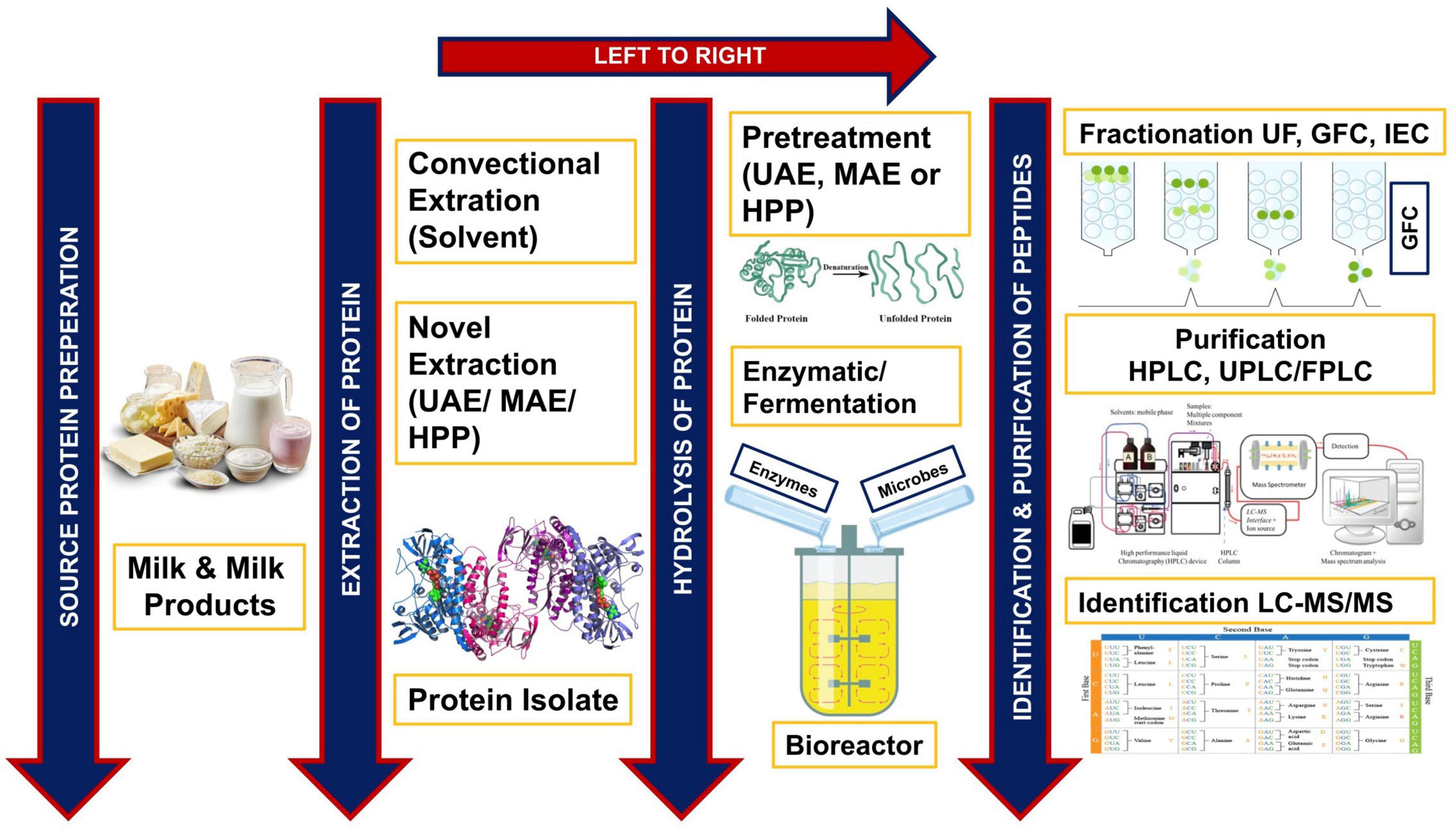 cIEF Peptide Marker Kit - Chemistries