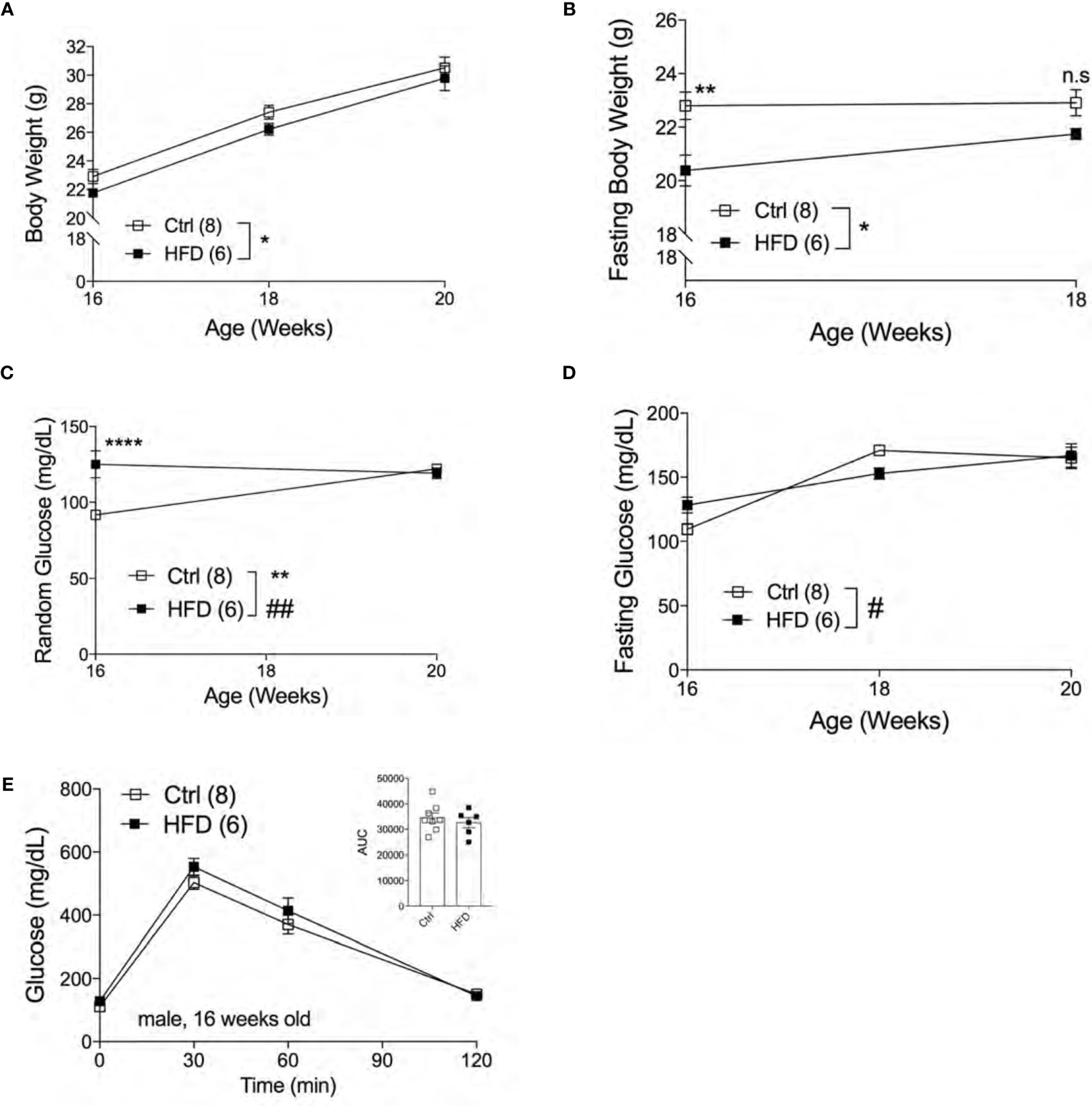 Frontiers Maternal High Fat Diet During Pre Conception And Gestation Predisposes Adult Female 9175