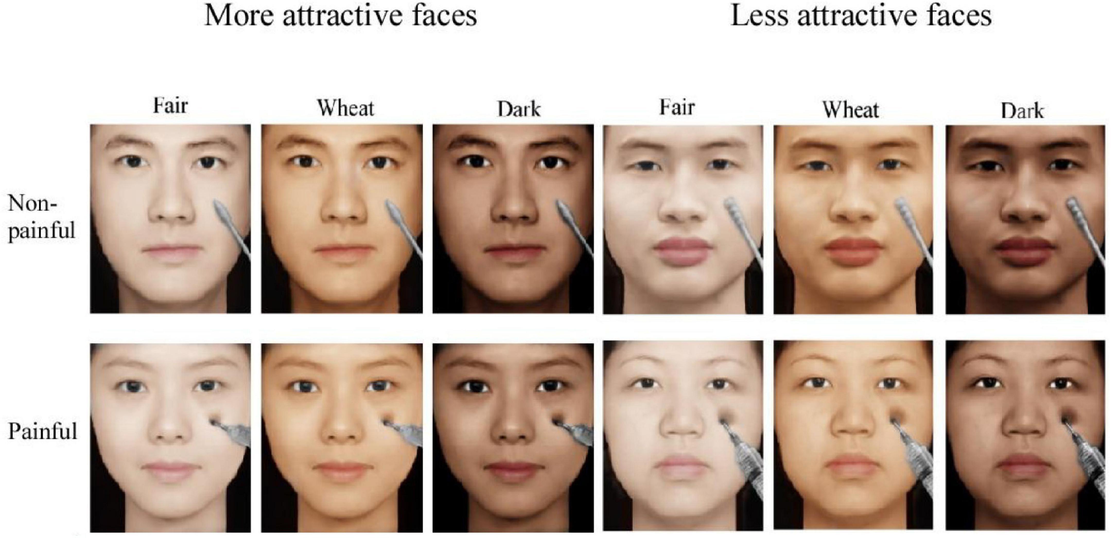 Frontiers Skin Color And Attractiveness Modulate Empathy For Pain An 