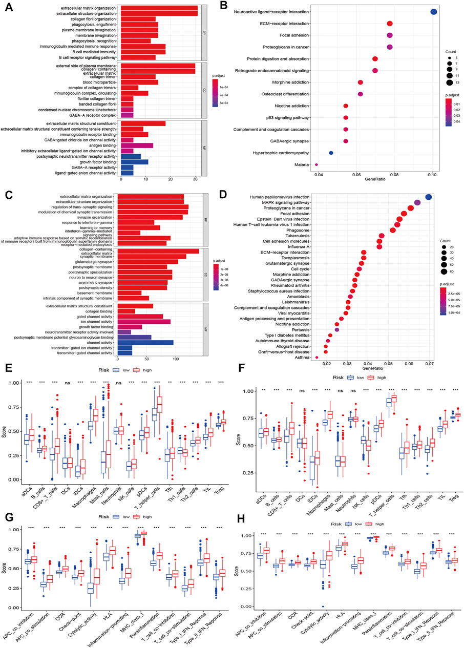 Frontiers | Comprehensive Analysis of Pyroptosis-Associated in ...