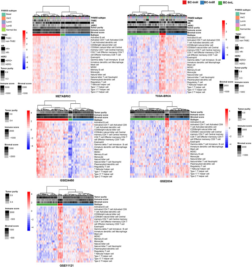 Frontiers | Identification Of Breast Cancer Immune Subtypes By ...