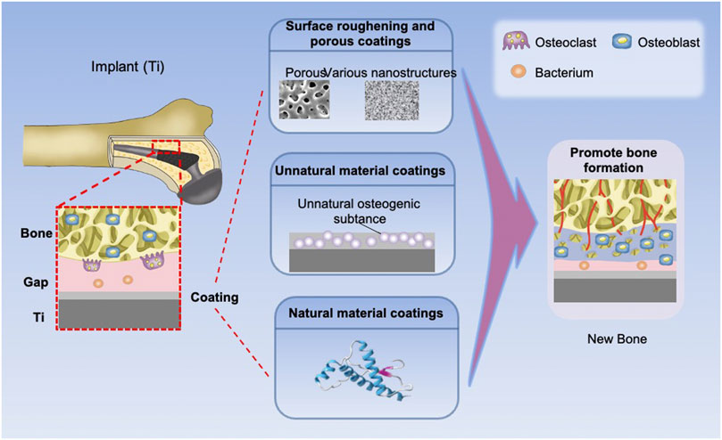 Antibacterial and hydroxyapatite-forming coating for biomedical implants  based on polypeptide-functionalized titania nanospikes - Biomaterials  Science (RSC Publishing) DOI:10.1039/C9BM01396B