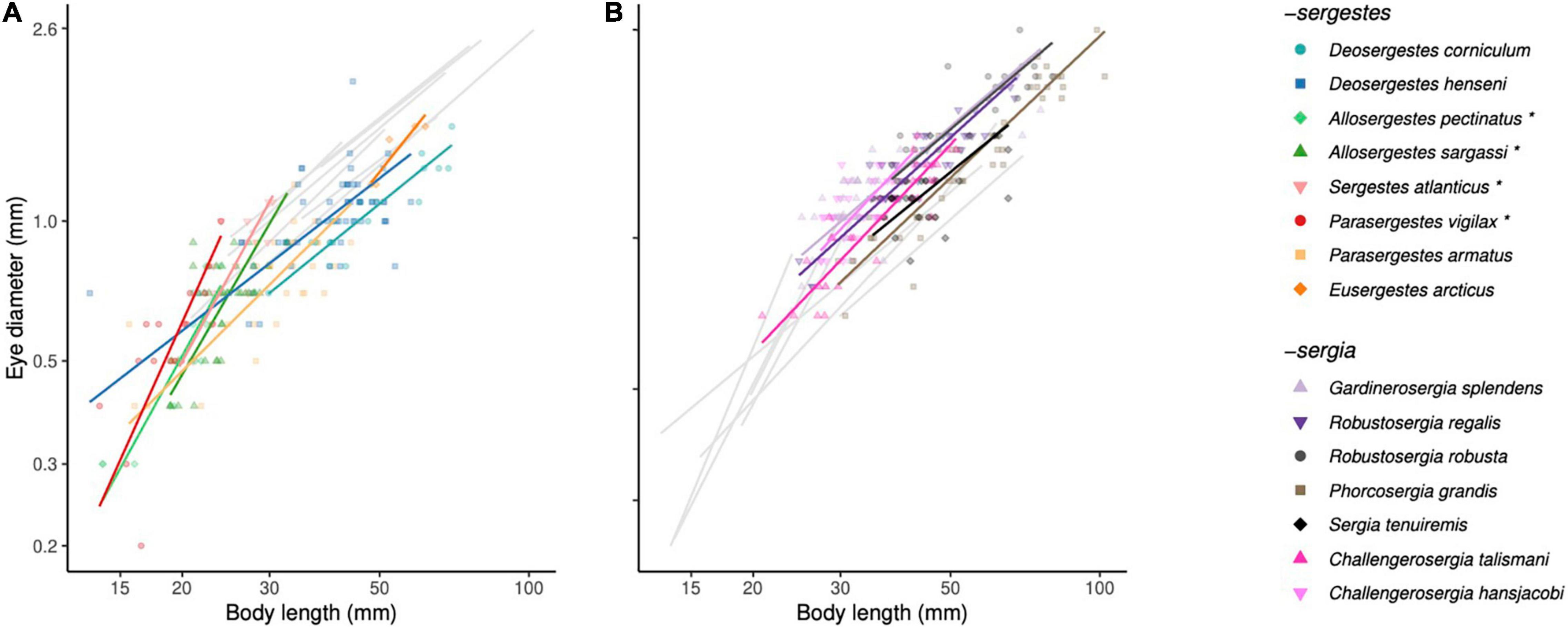 Intraspecific body size variation and allometry of genitalia in