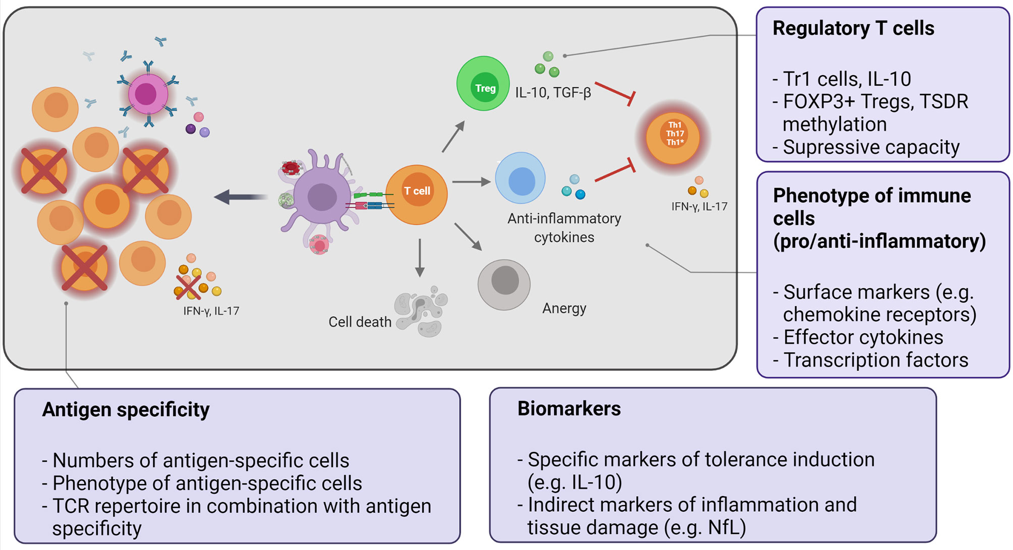 Frontiers Mechanistic And Biomarker Studies To Demonstrate Immune 