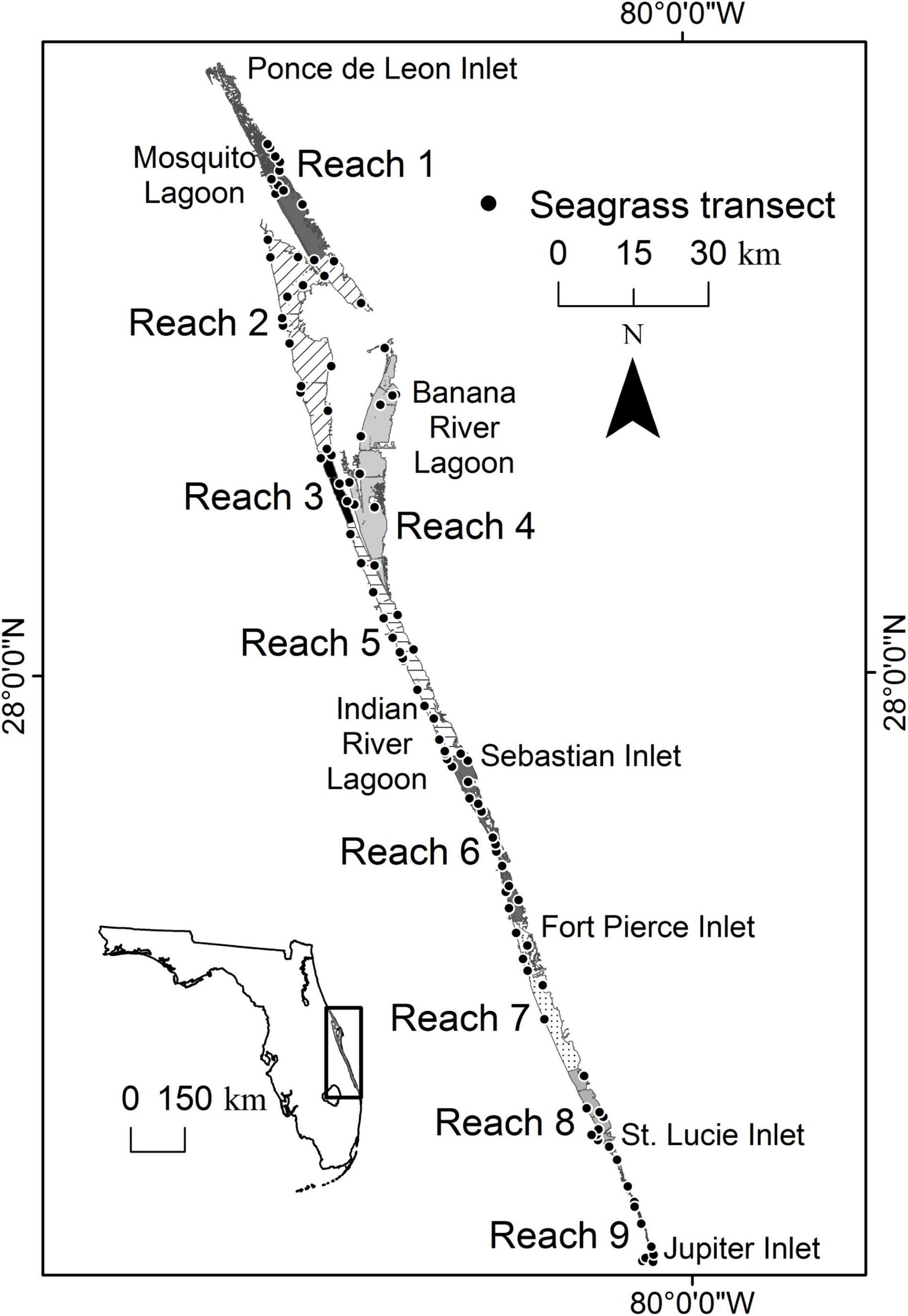 Location of study area Agua Brava Lagoon in National Wetlands Nayarit