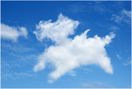 图2 -你是否曾仰望云层，看到过有趣的形状，比如人脸或动物?