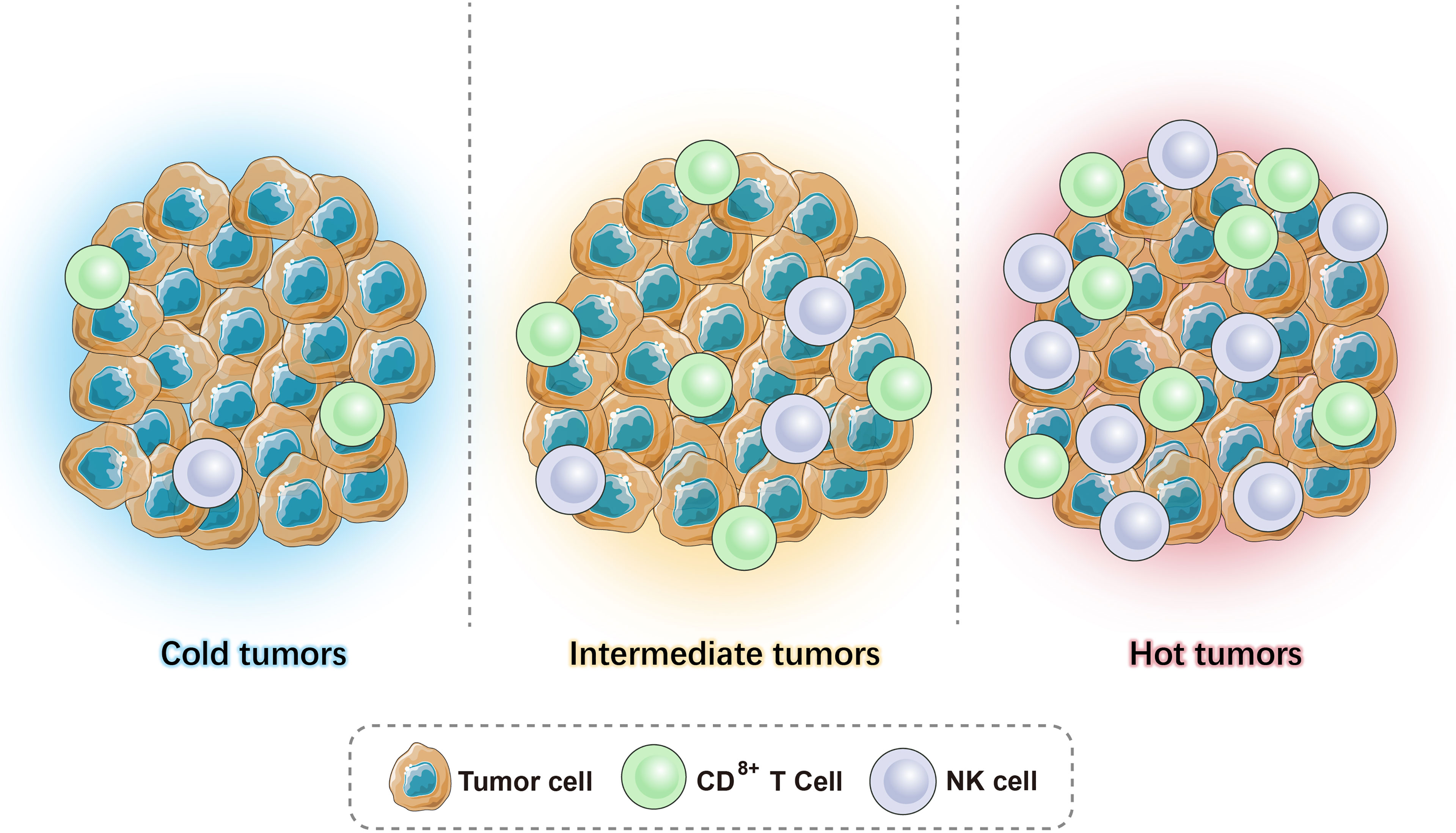 Frontiers Immunological Classification Of Tumor Types And Advances In 