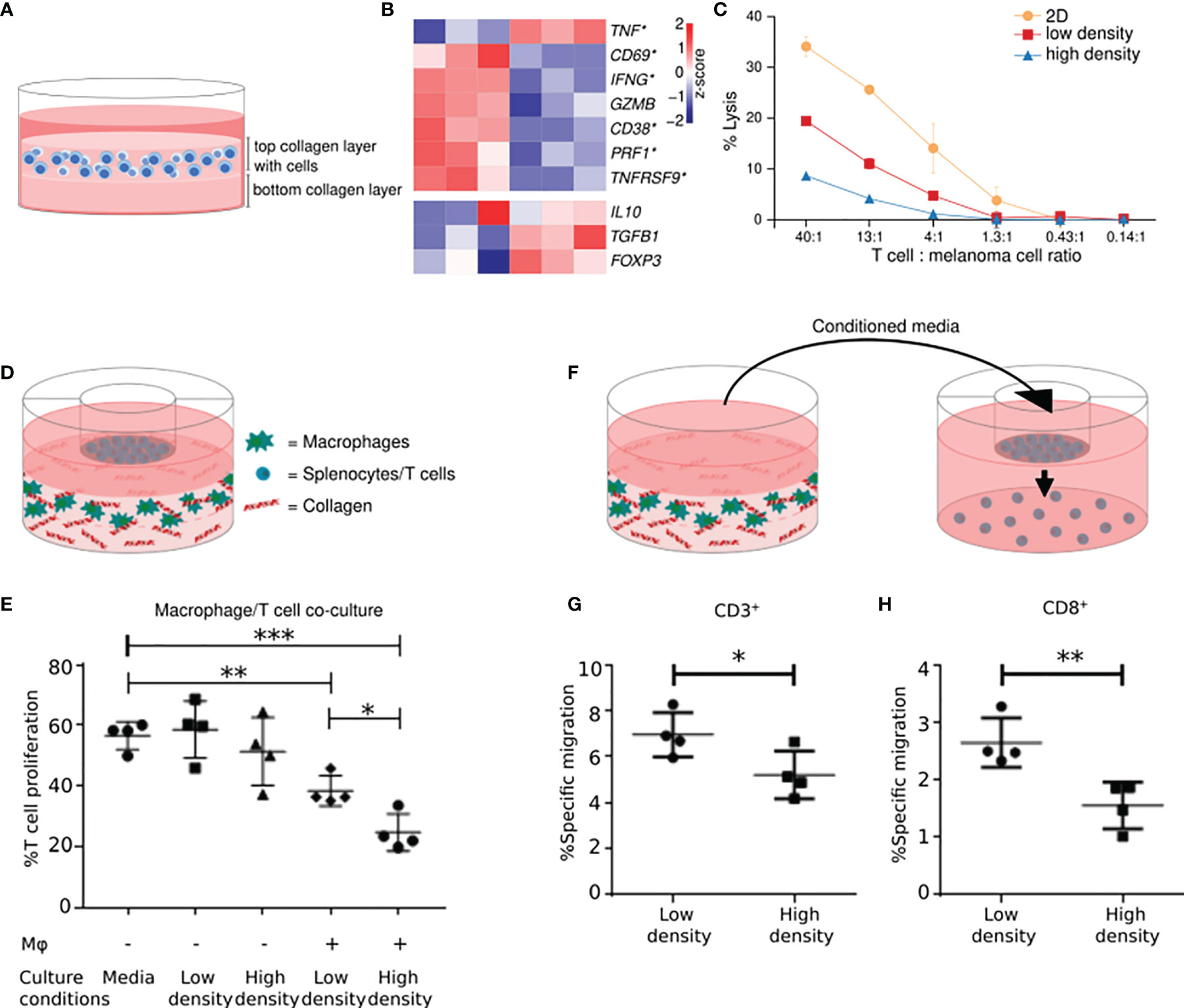 Migration Andesbjergene svag Frontiers | Immune Modulatory Properties of Collagen in Cancer | Immunology