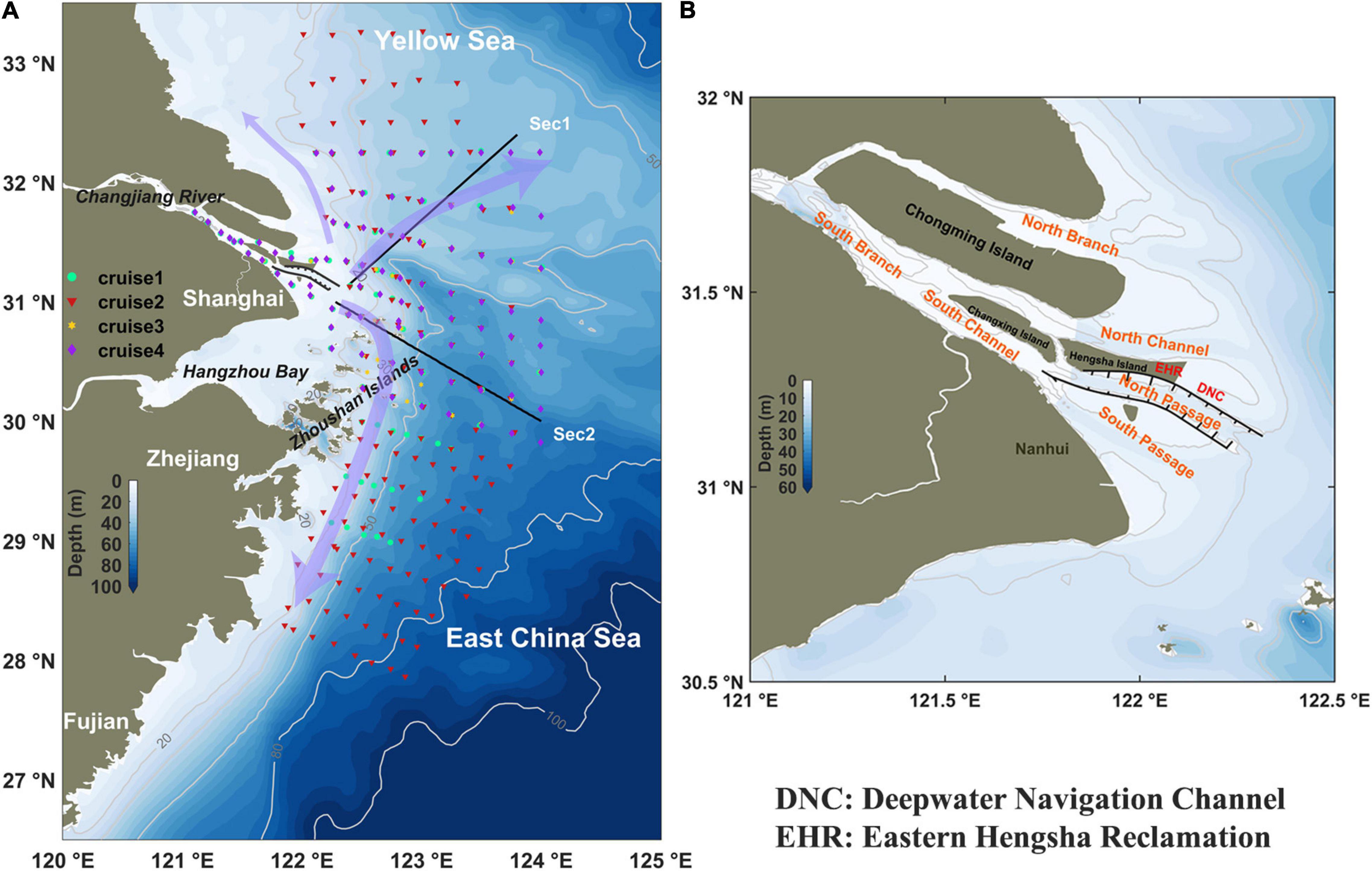 Frontiers | Regulation of Algal Bloom Hotspots Under Mega