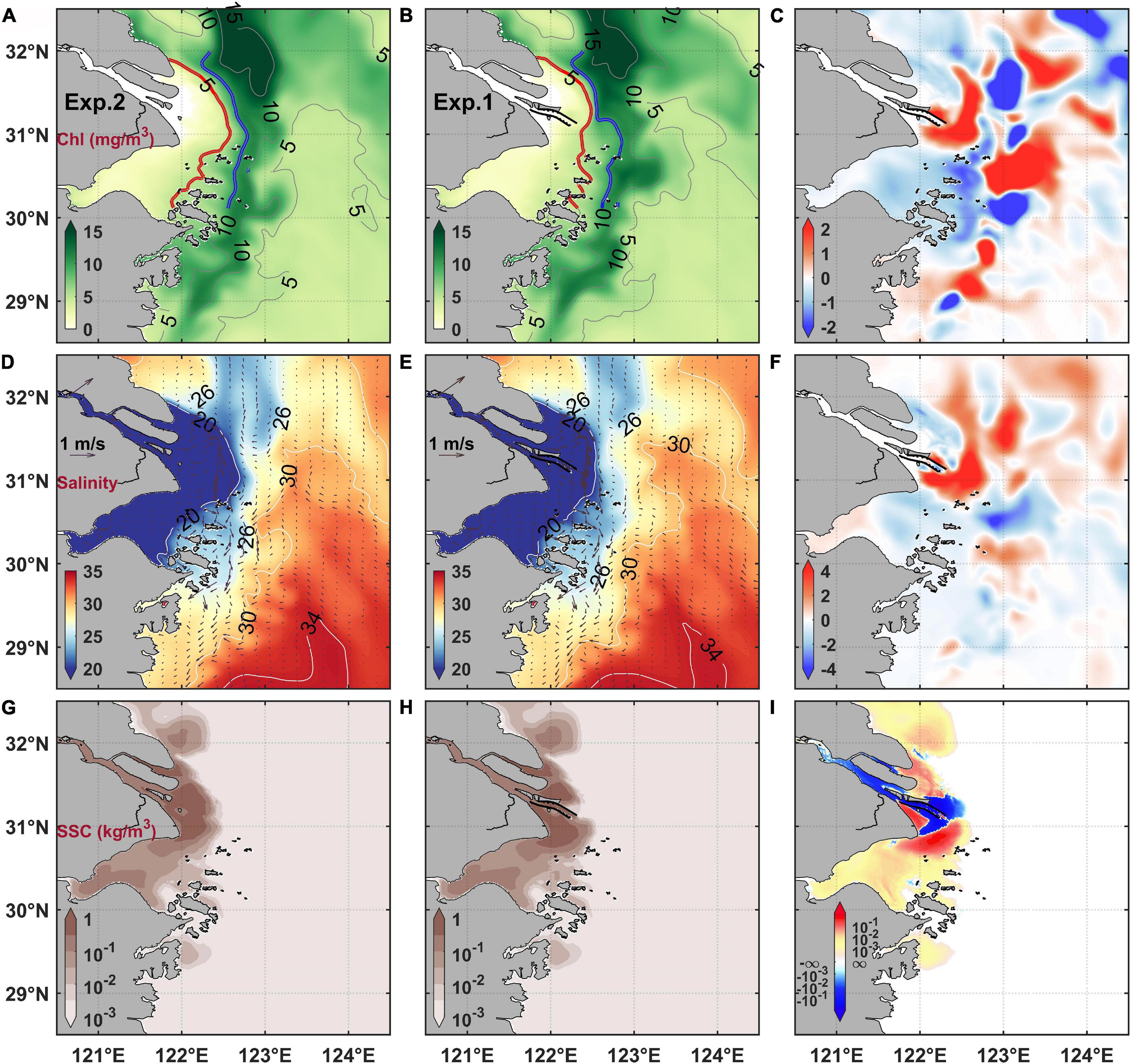 Frontiers | Regulation of Algal Bloom Hotspots Under Mega Estuarine ...