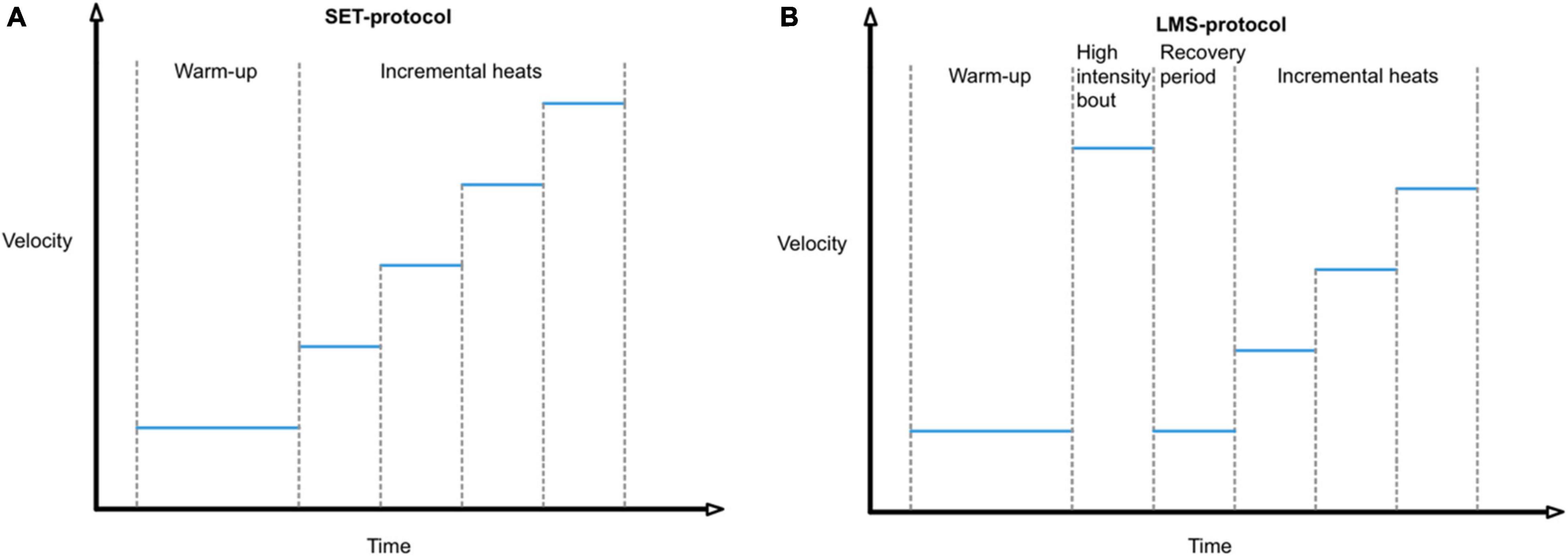 Frontiers  Profiling the Aerobic Window of Horses in Response to Training  by Means of a Modified Lactate Minimum Speed Test: Flatten the Curve